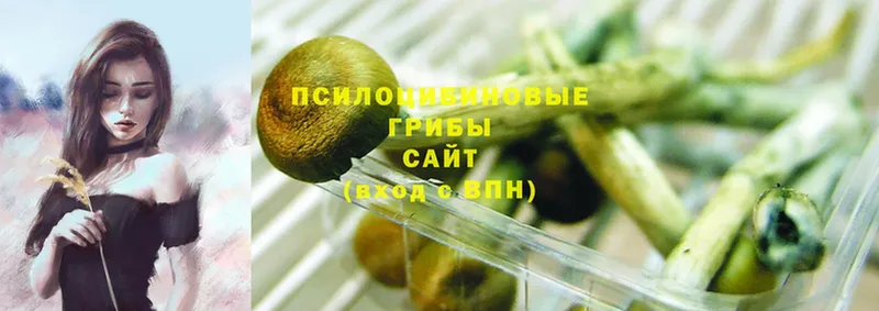 Галлюциногенные грибы MAGIC MUSHROOMS  площадка формула  Дигора 